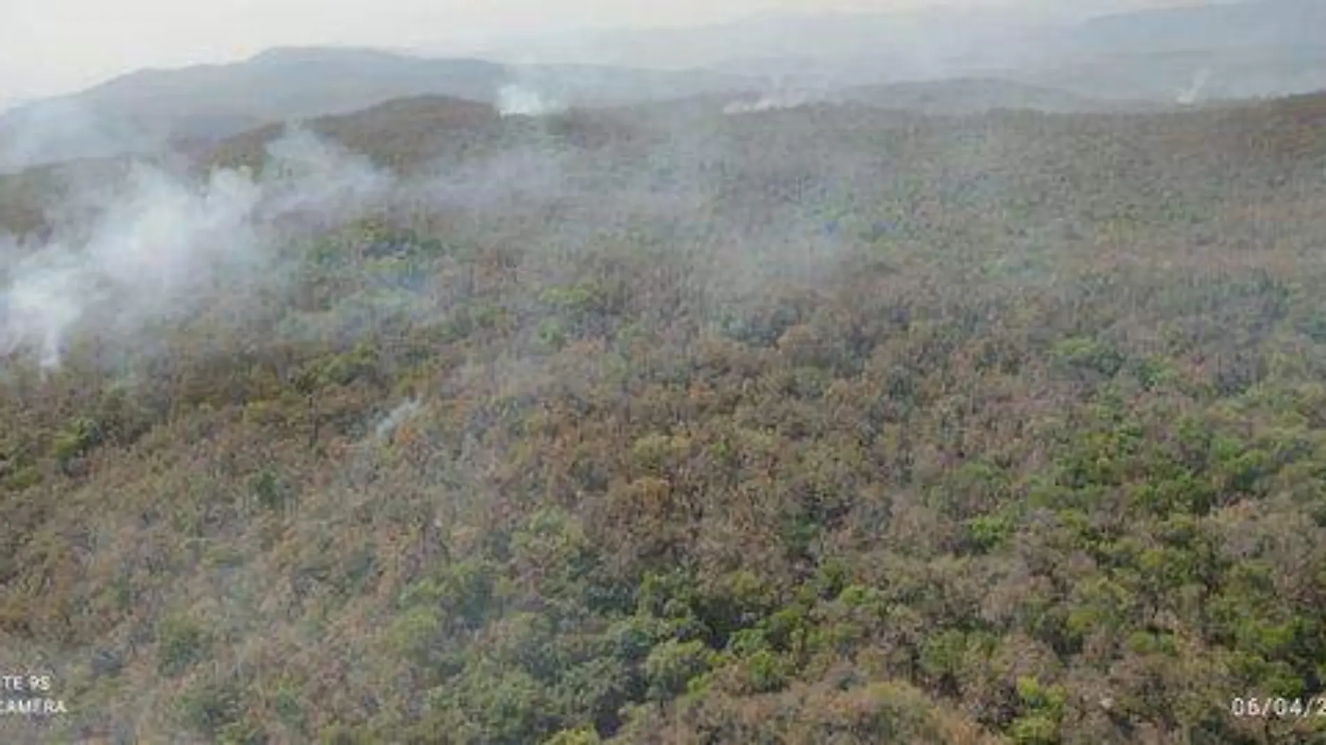  incendio forestal en Cd. del Maíz (3)